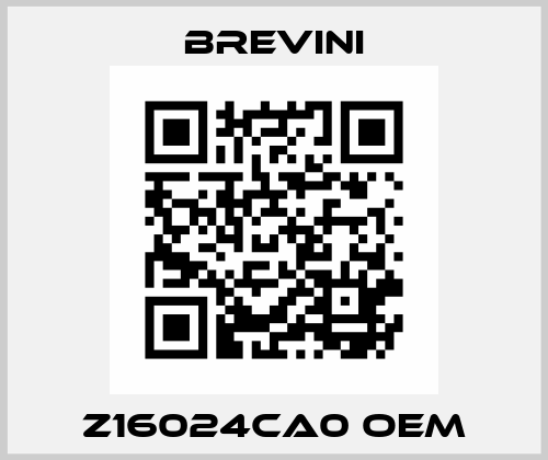 Z16024CA0 OEM Brevini