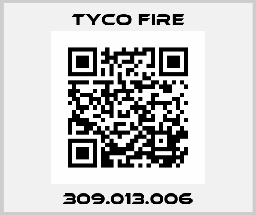 309.013.006 Tyco Fire