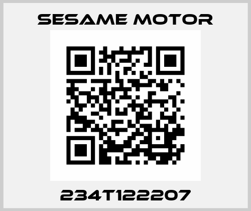 234T122207 Sesame Motor