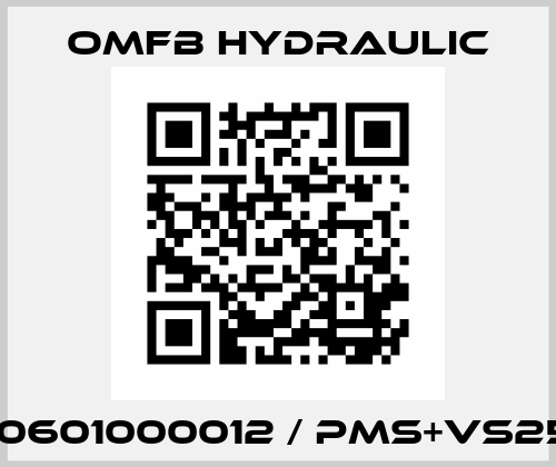 10601000012 / PMS+VS25 OMFB Hydraulic
