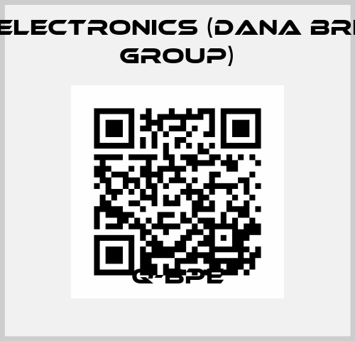 Q-BPE BPE Electronics (Dana Brevini Group)