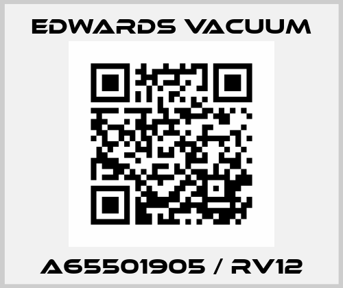A65501905 / RV12 Edwards Vacuum