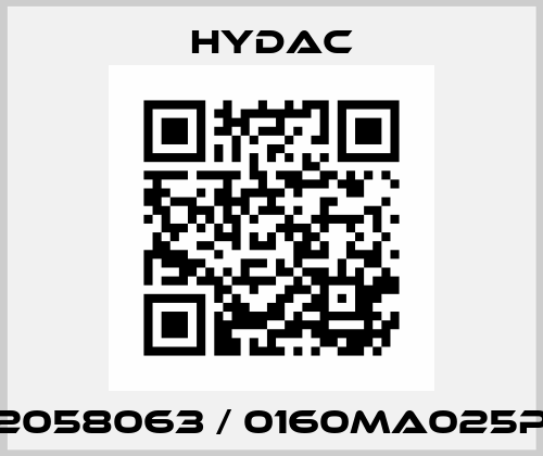 2058063 / 0160MA025P Hydac