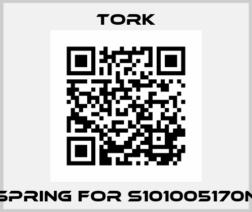 spring for S101005170N Tork