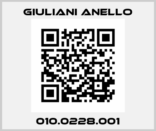 010.0228.001 Giuliani Anello