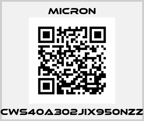 CWS40A302JIX950NZZ Micron