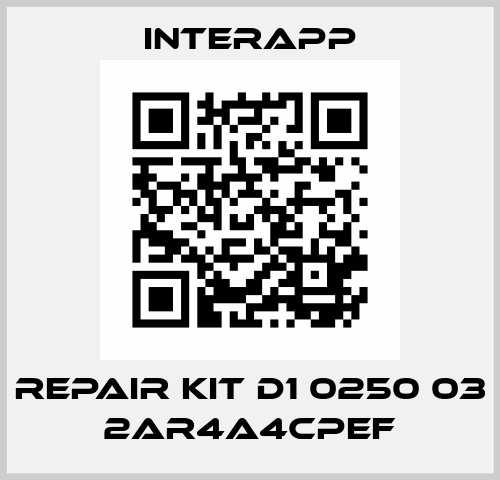 repair kit D1 0250 03 2AR4A4CPEF InterApp