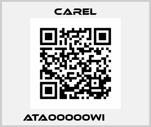 ATA00000WI ОЕМ Carel