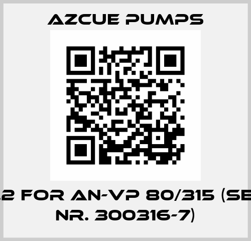 1500.2 for AN-VP 80/315 (Serial nr. 300316-7) Azcue Pumps