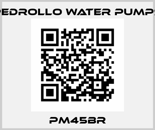 PM45BR Pedrollo Water Pumps