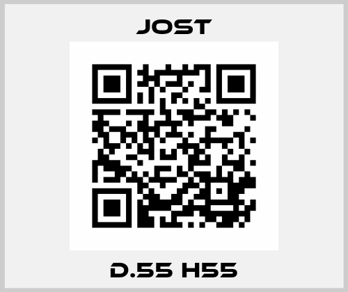 D.55 H55 Jost