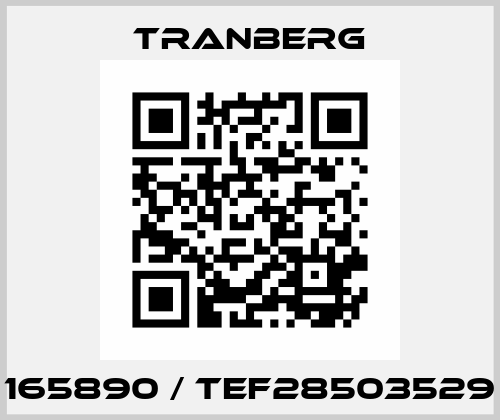 165890 / TEF28503529 TRANBERG