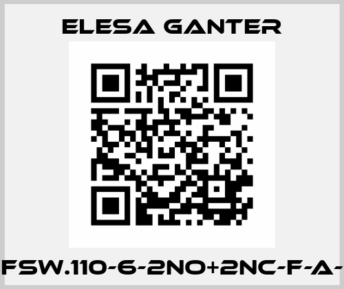 CFSW.110-6-2NO+2NC-F-A-2 Elesa Ganter