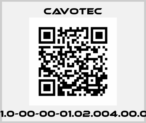 B001.0-00-00-01.02.004.00.00.01 Cavotec