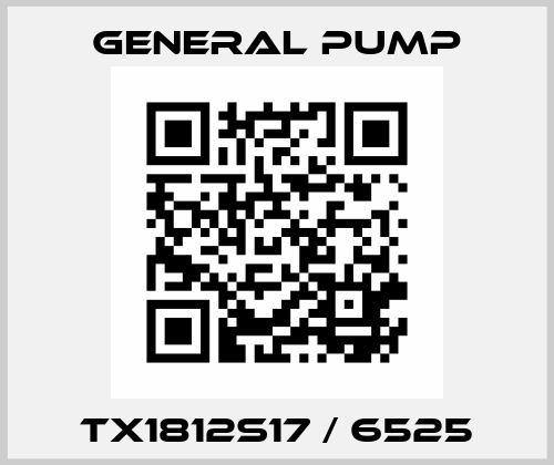 TX1812S17 / 6525 General Pump
