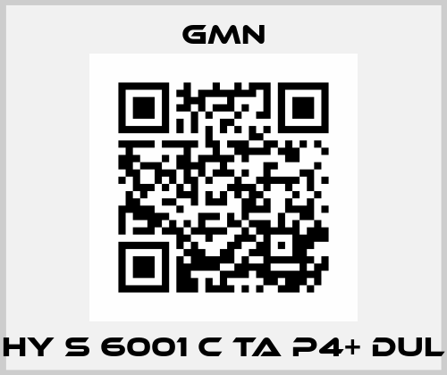 HY S 6001 C TA P4+ DUL Gmn