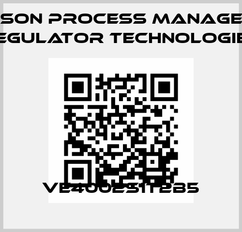 VE4002S1T2B5 Emerson Process Management Regulator Technologies
