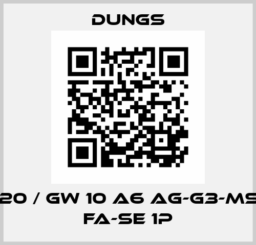 272620 / GW 10 A6 Ag-G3-MS9-V0 fa-se 1P Dungs