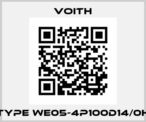 Type WE05-4P100D14/0H Voith