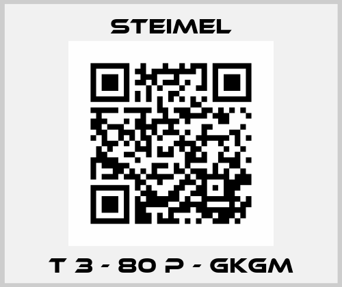 T 3 - 80 P - GKGM Steimel