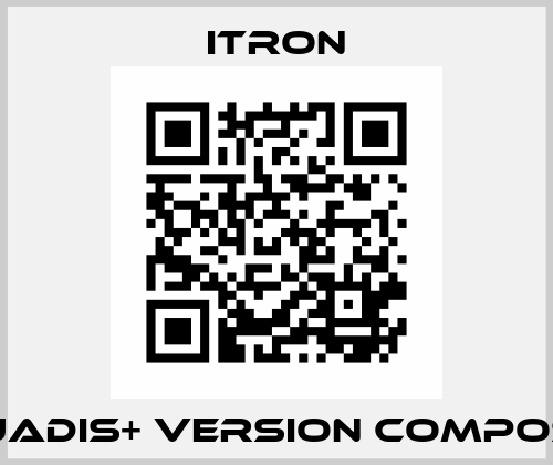 Aquadis+ Version Composite Itron