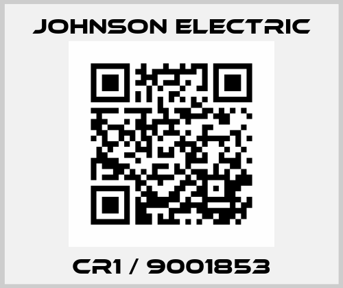 CR1 / 9001853 Johnson Electric