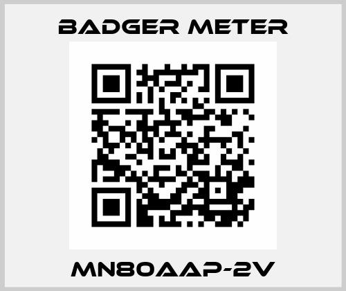 MN80AAP-2V Badger Meter