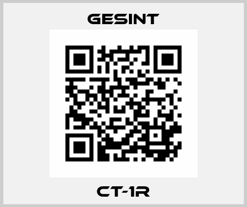 CT-1R Gesint