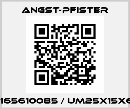 1165610085 / UM25X15X6 Angst-Pfister
