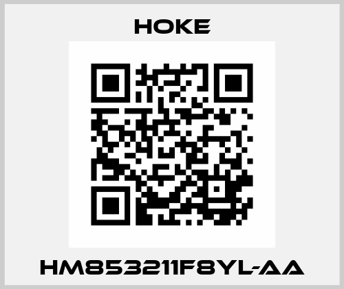 HM853211F8YL-AA Hoke
