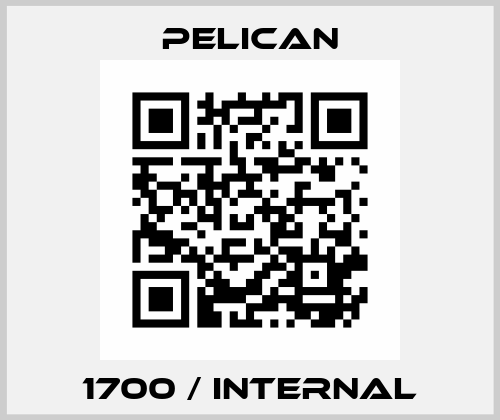 1700 / Internal Pelican