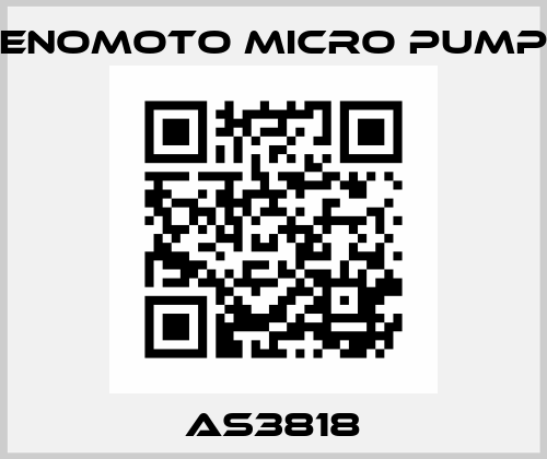 AS3818 Enomoto Micro Pump