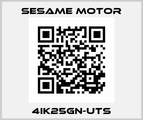 4IK25GN-UTs Sesame Motor