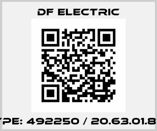 Type: 492250 / 20.63.01.870 DF Electric