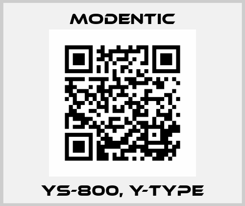 YS-800, Y-Type Modentic