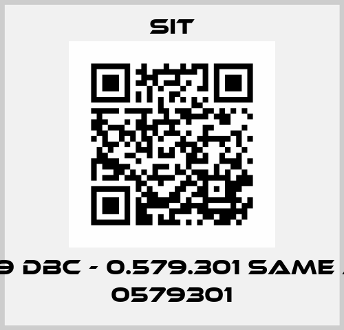 579 DBC - 0.579.301 same as 0579301 SIT
