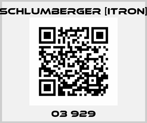03 929 Schlumberger [Itron]