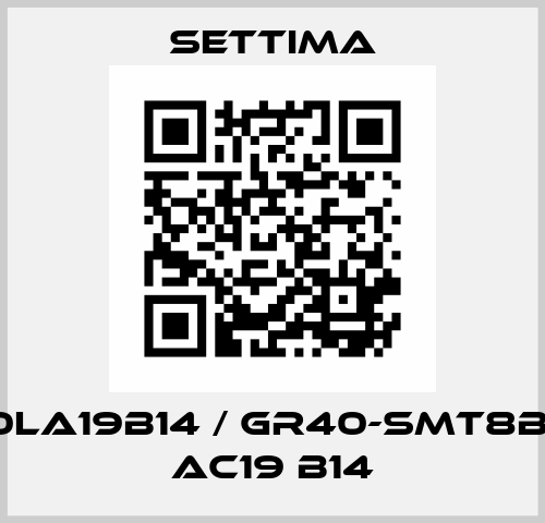 TA80LA19B14 / GR40-SMT8B-80L AC19 B14 Settima