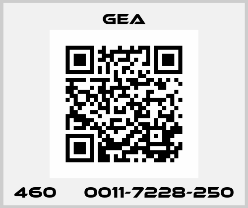 460     0011-7228-250 Gea