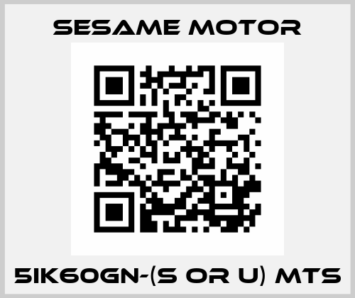 5IK60GN-(S or U) MTs Sesame Motor