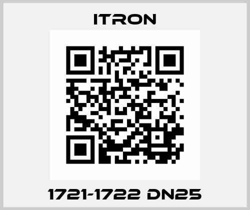 1721-1722 DN25 Itron