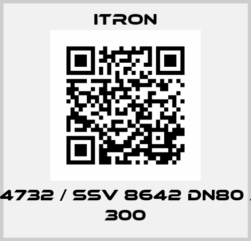 RBE 4732 / SSV 8642 DN80 ANSI 300 Itron