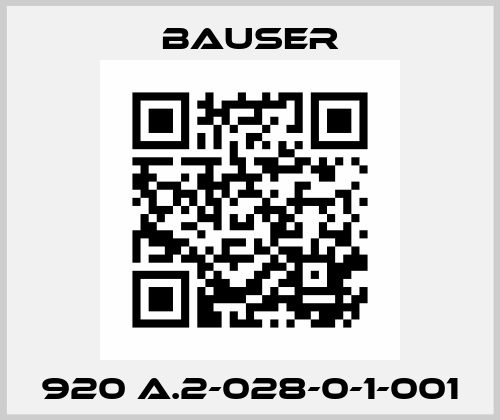 920 A.2-028-0-1-001 Bauser