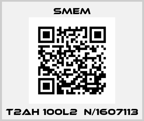T2AH 100L2  N/1607113 Smem