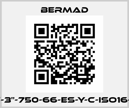 WW-3"-750-66-ES-Y-C-ISO16-EB  Bermad