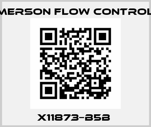 X11873−B5B  Emerson Flow Controls