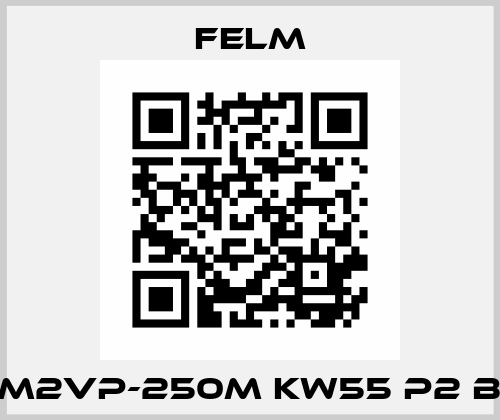 FM2VP-250M KW55 P2 B3 Felm