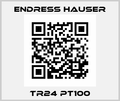 TR24 PT100 Endress Hauser