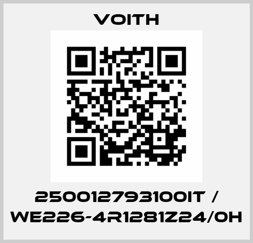 250012793100IT / WE226-4R1281Z24/0H Voith