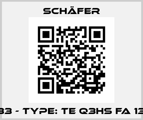 TE01433 - Type: TE Q3HS FA 132 S2D Schäfer